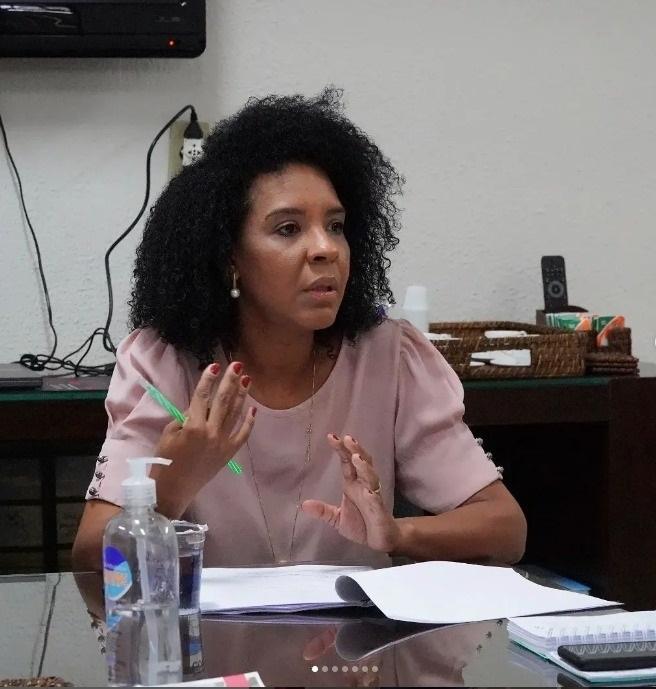 Superintendente de Micro e Pequenas Empresas da Secretaria Municipal de Desenvolvimento Econômico, Inovação e Turismo, Carolina Ribeiro (Foto/Reprodução)