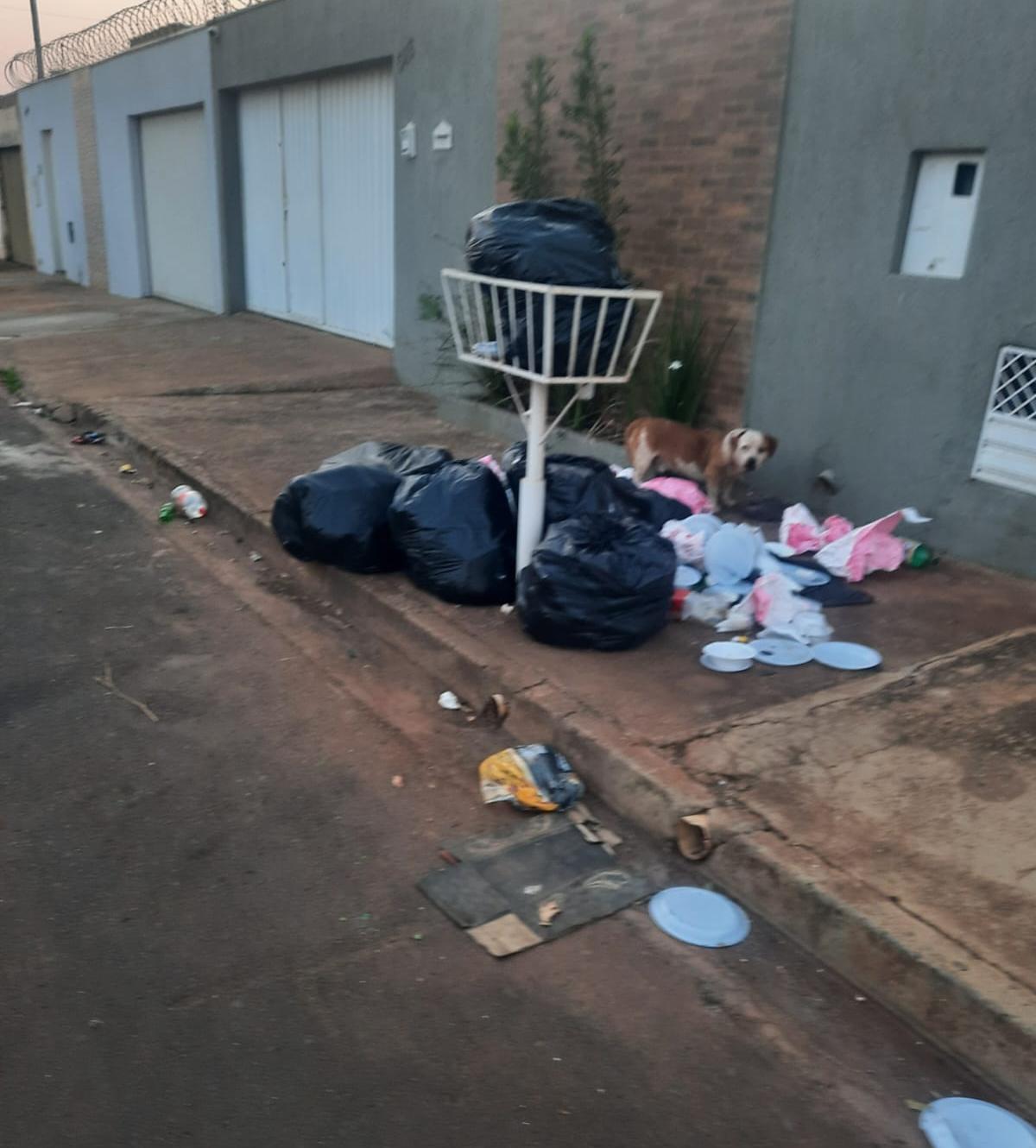 Conforme o leitor, o lixo é colocado em dias errados e acaba espalhado na porta dos vizinhos (Foto/Divulgação)