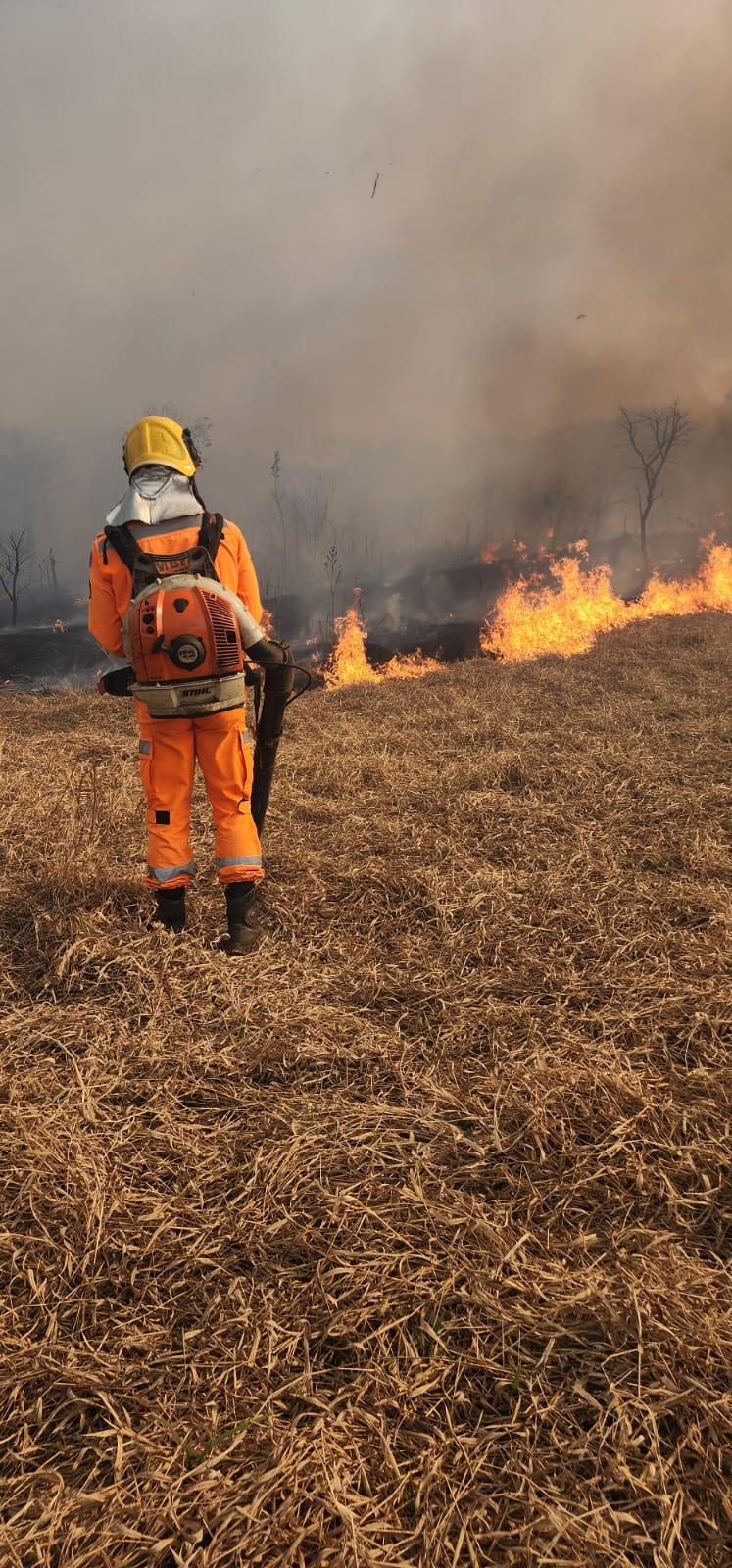 Além da equipe dos Bombeiros e do caminhão-pipa da Usina Delta, dois brigadistas também participaram das ações de contenção (Foto/Divulgação)