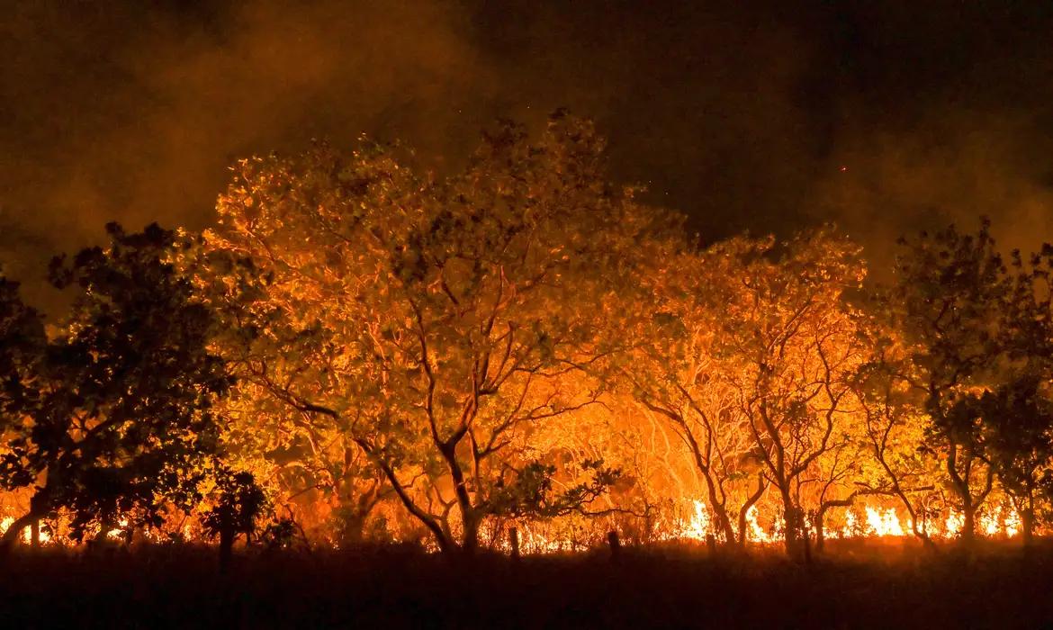  (Foto/Jader Souza/AL Roraima)