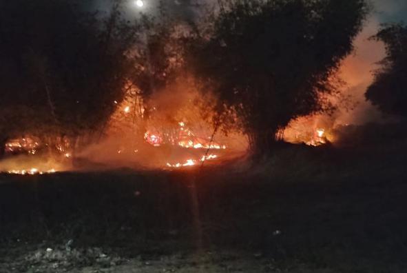 Fogo começou na madrugada na área urbana de Araxá (Foto/Reprodução/Corpo de Bombeiros)