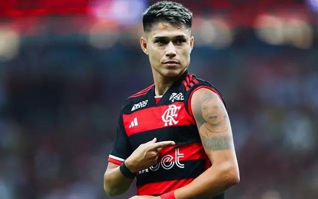 Luiz Araújo (Foto/Gilvan de Souza/Flamengo)