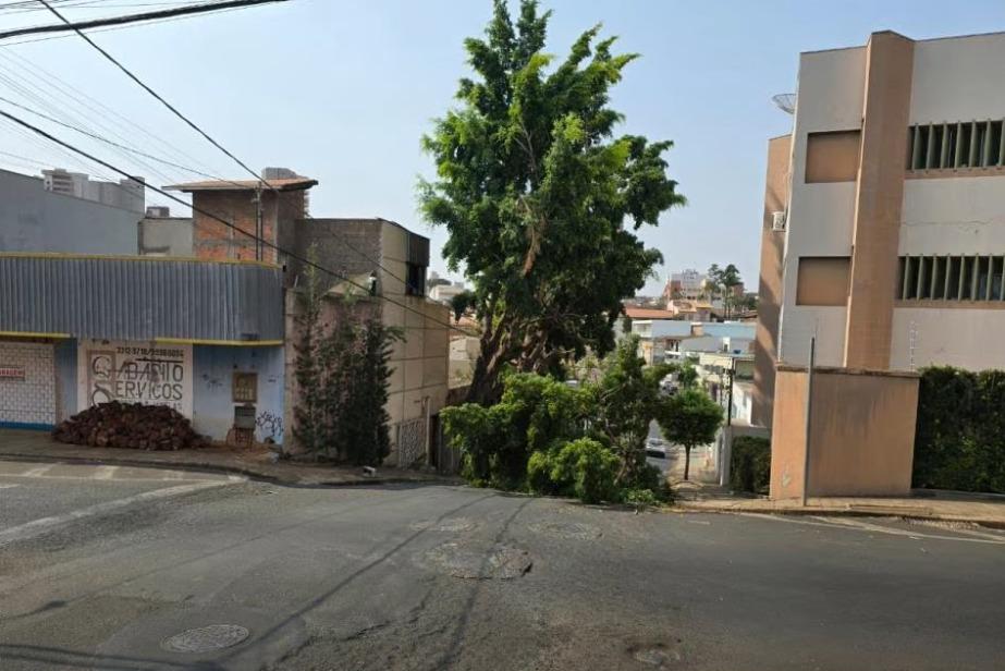 Árvore caiu na rua Epitácio Pessoa (Foto/Litor JM)