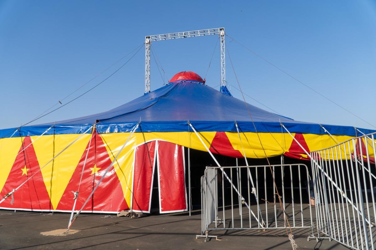 Atividades acontecem na Concha Acústica de 19 a 30 de janeiro, com turmas de até 20 participantes por horário; não é necessário inscrição prévia (Foto/Divulgação)
