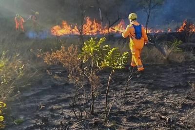 Os ministérios públicos ressaltam que é crime causar incêndio, expondo a perigo a vida, a integridade física ou o patrimônio de outrem (Foto/Reprodução)