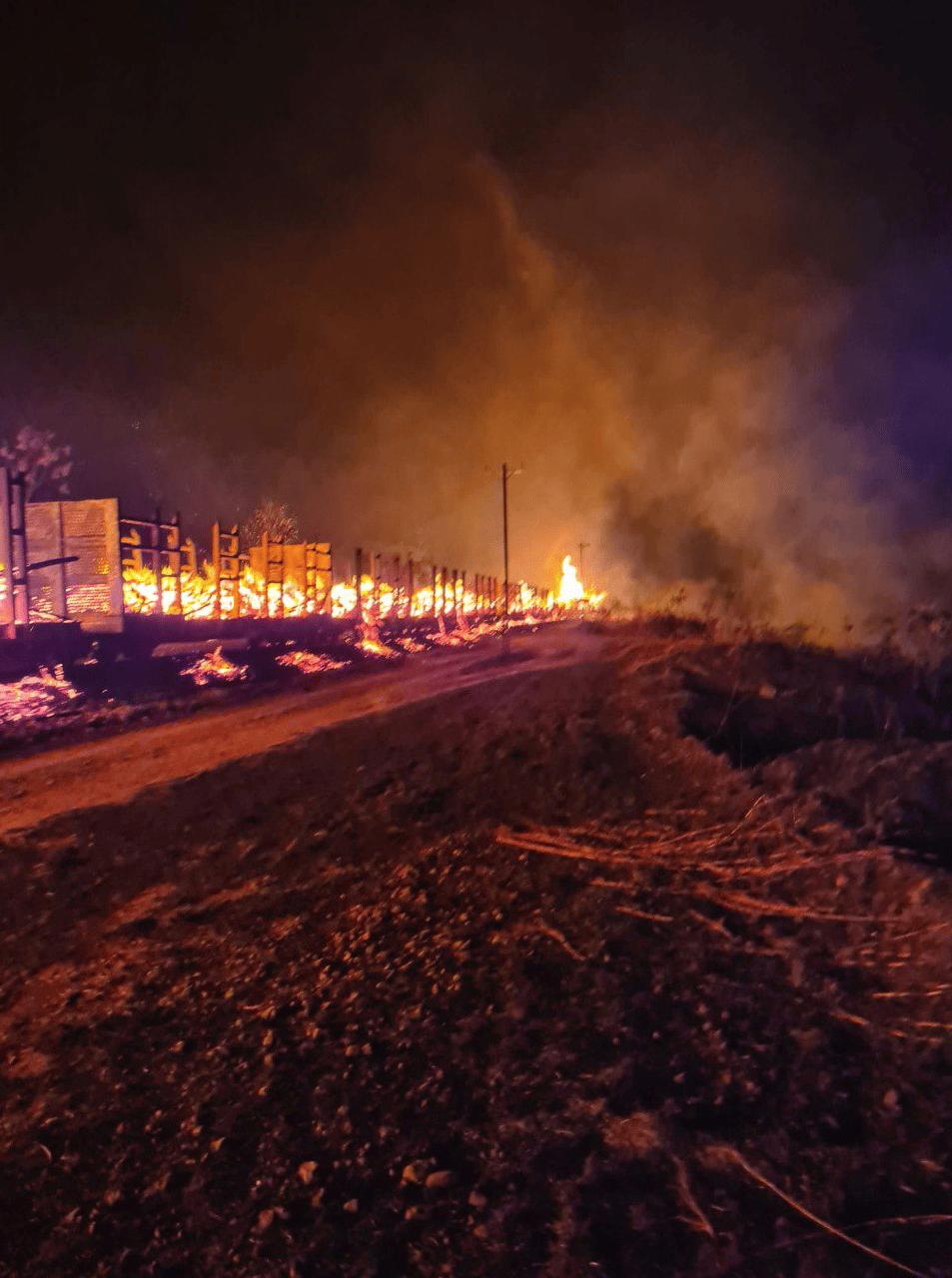 Os vagões estavam carregados de troncos de madeira, aparentemente eucaliptos, que pegaram fogo (Foto/CBMG/Divulgação)