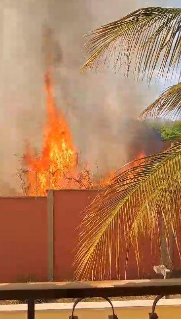 O incêndio se alastrou rapidamente, atingindo os fundos dos condomínios da avenida Dr. Hélio Luis da Costa e do Condomínio Flamboyant (Foto/Reprodução)