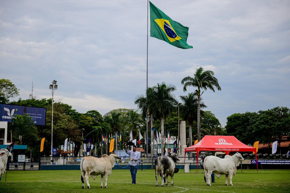 O anúncio dos grandes campões da Feira acontecerá no sábado (19) e o encerramento do evento se dará no domingo, dia 20 (Foto/Divulgação)