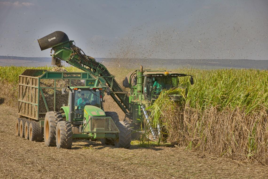 Um dos trunfos do agronegócio em Uberaba é a produção de cana-de-açúcar. (Foto/Divulgação CMAA)