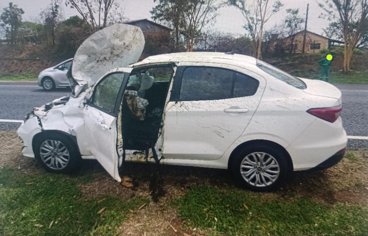 O veículo colidiu frontalmente com o cavalo, o que acionou o sistema de airbags do carro (Foto/Divulgação)