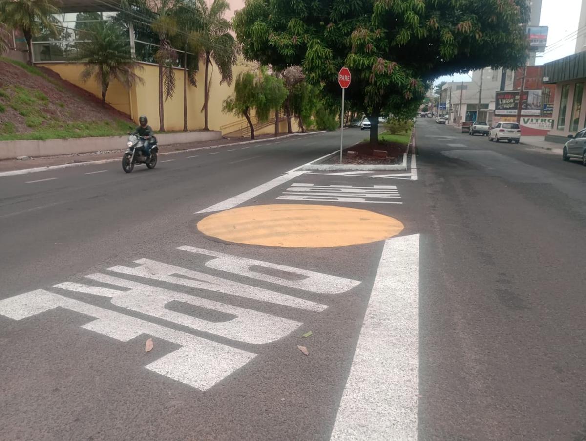 A Secretaria de Defesa Social (SDS) realizou, nesta semana, a sinalização do retorno na avenida Santa Beatriz da Silva. No local, foram implementados dois pares e uma rotatória (Foto/Divulgação)