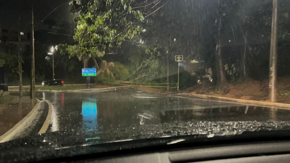 Queda de árvore no acesso da avenida Santa Beatriz, pela Santos Dumont (Foto/Reprodução)