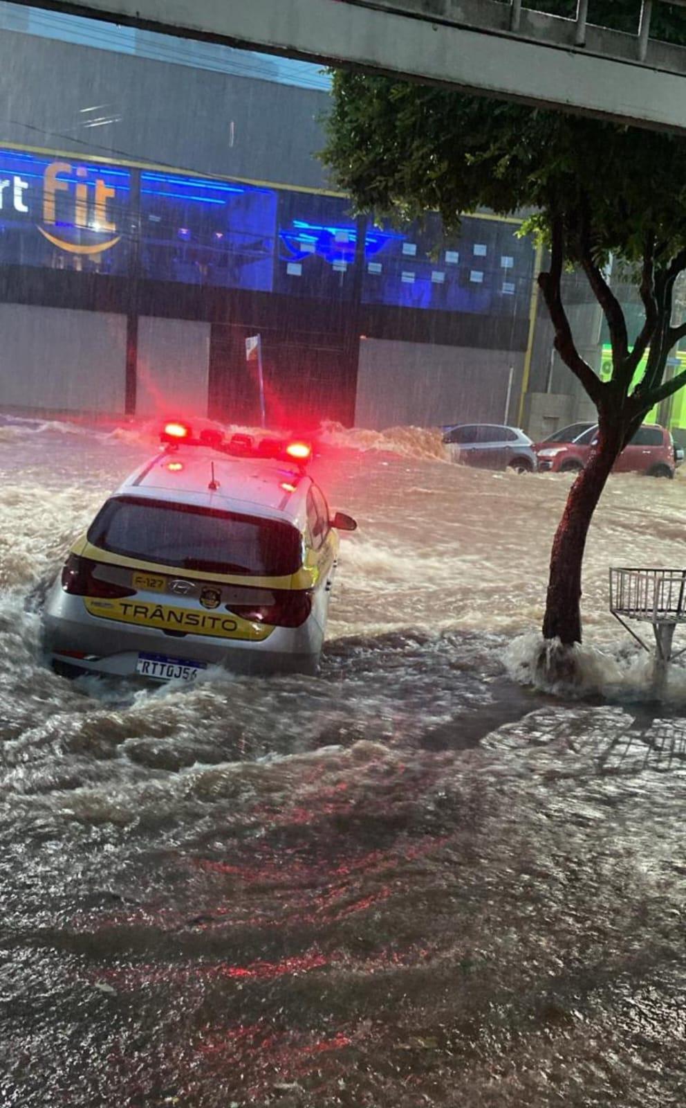 Carro do Departamento de Trânsito rodou (Foto/Reprodução)