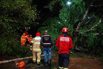 Segundo o Corpo de Bombeiros, foram realizados cortes de 11 árvores de grande porte, cinco atendimentos a pessoas ilhadas nos veículos e um atendimento de desabamento de muro no Jardim Maracanã (Foto/Divulgação)