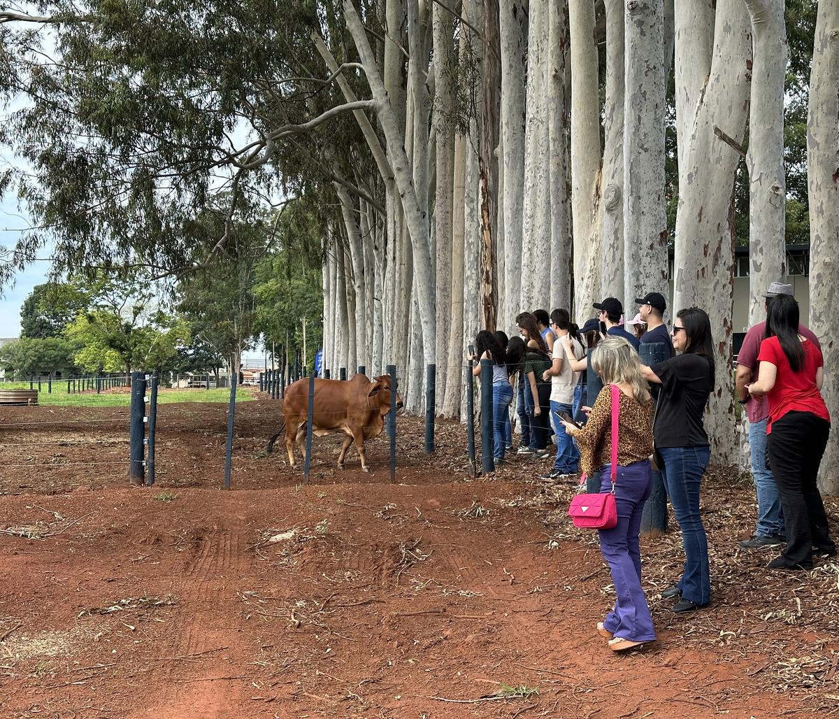 Desde o início do projeto, mais de 15 escolas participaram do Fazu Experience (Foto/Divulgação)