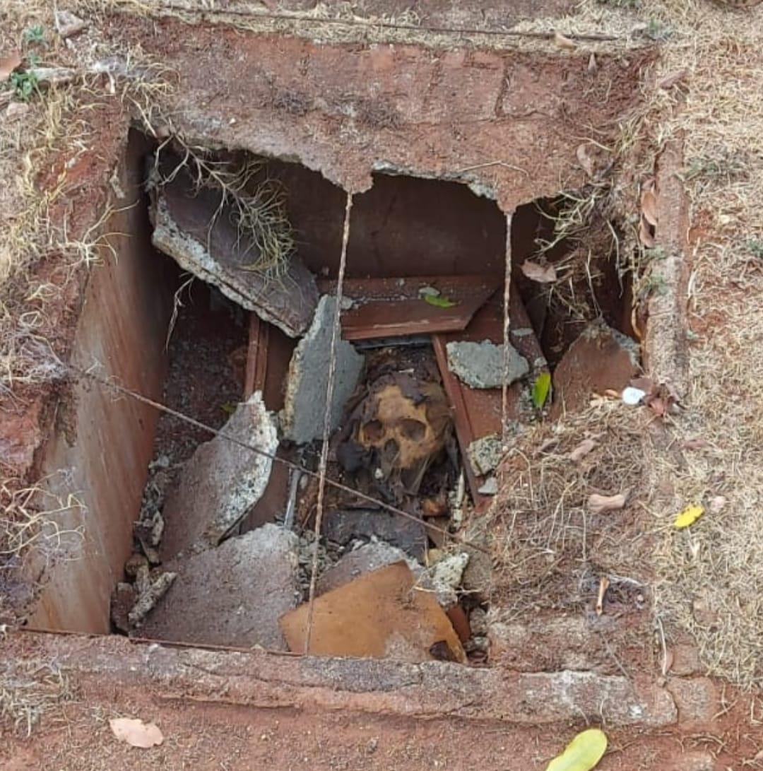 O que havia sido uma cabeça humana fica exposto para quem quiser ver (Foto/Visitante)