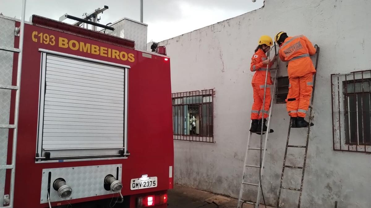 Local em que o filhote estava preso era de difícil acesso (Foto/Divulgação)