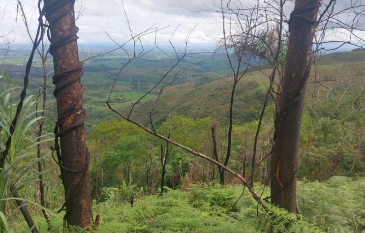 Uma equipe dos bombeiros de Campos Altos e outra guarnição de Araxá se deslocaram até o local e iniciaram uma operação de buscas terrestres (Foto/Corpo de Bombeiros/Divulgação)