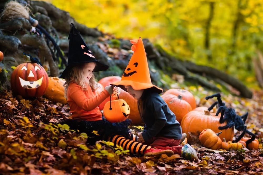 Crianças vestidas para o Halloween em um local decorado com abóboras (Foto/ Reprodução)