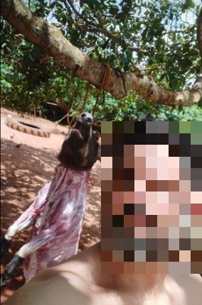 Postagem mostra javali morto e a utilização de cães na caçada, o que também, no entendimento da PMU, não condiz com a função que exercia (Foto/Divulgação)