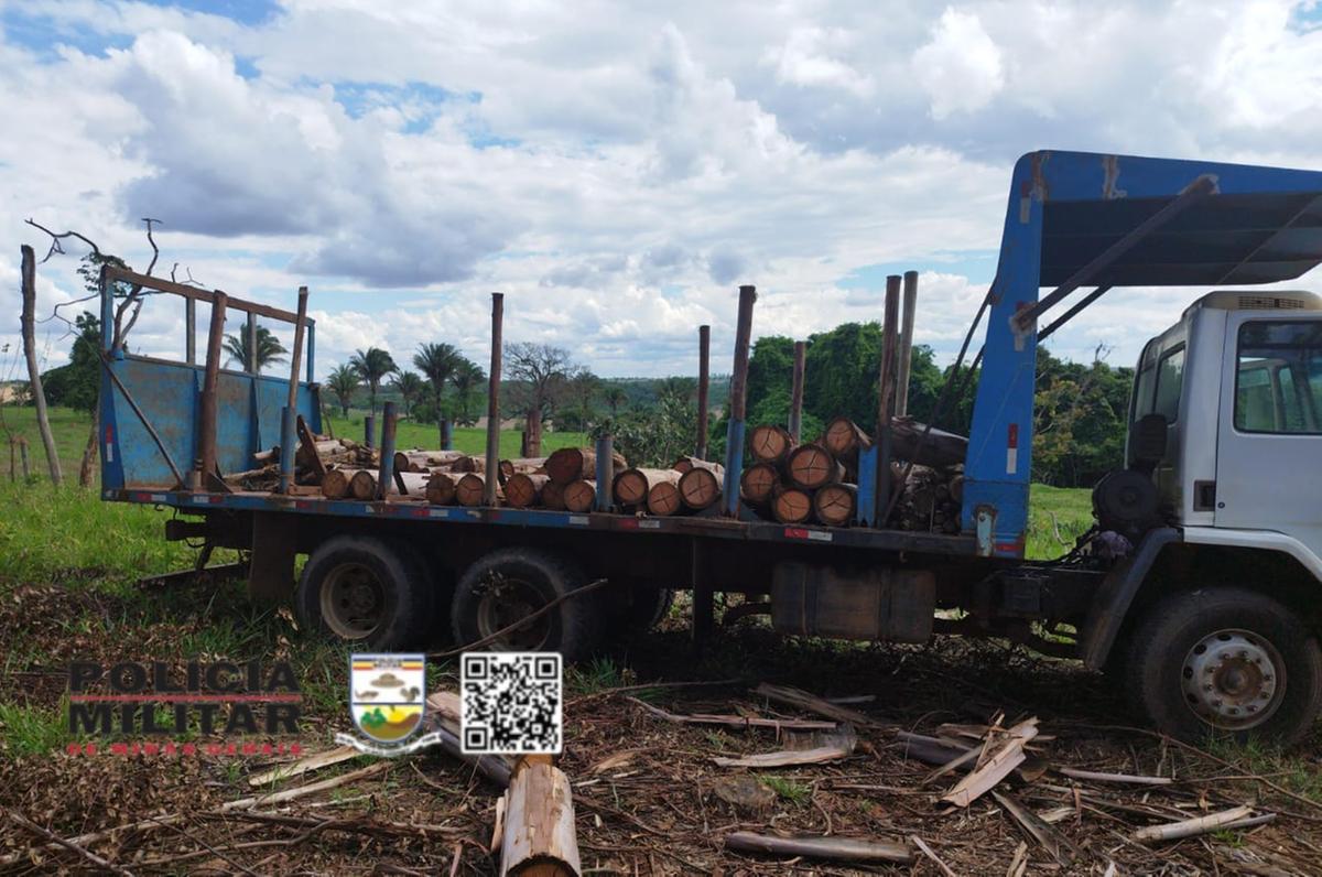 Furto de lenha registrado na zona rural de Uberaba (Foto/Divulgação)