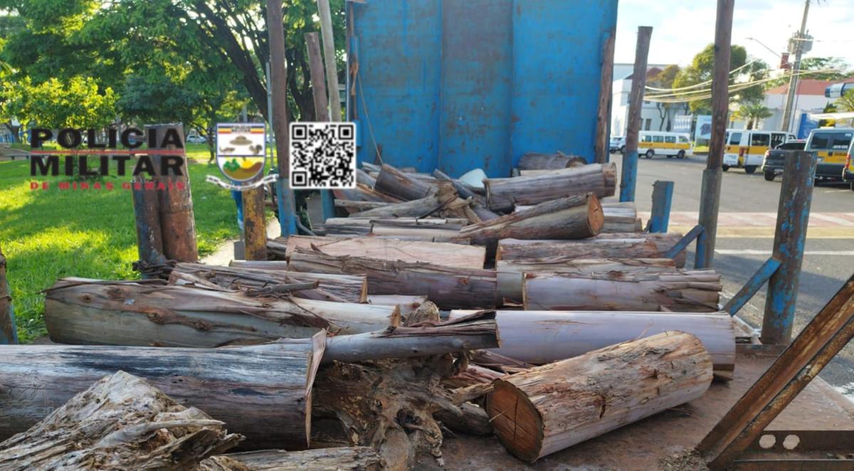 Furto de lenha registrado na zona rural de Uberaba (Foto/Divulgação)