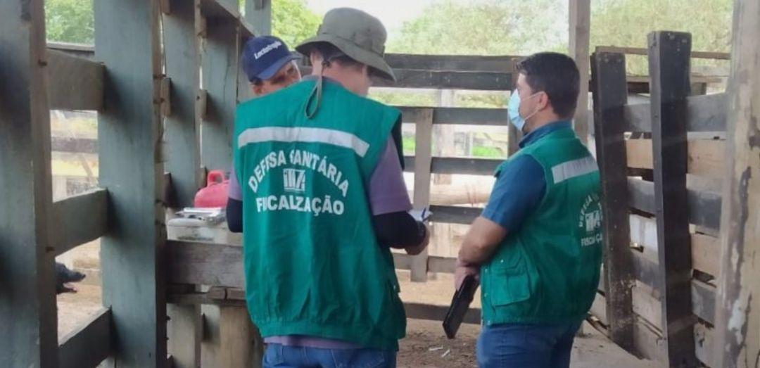 A inauguração ocorrerá no dia 26 de novembro, às 10h, e contará com a presença do secretário de Agricultura, Pecuária e Abastecimento de Minas Gerais (Foto/Reprodução)