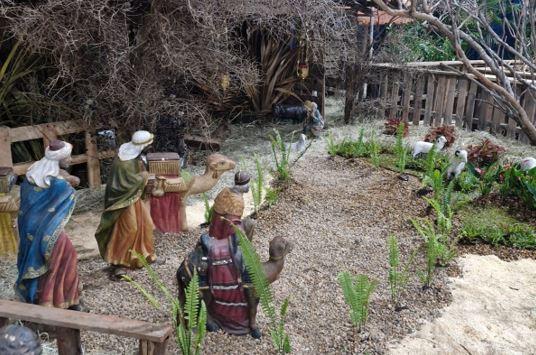 (Foto/Divulgação/Paróquia São Geraldo Majela)