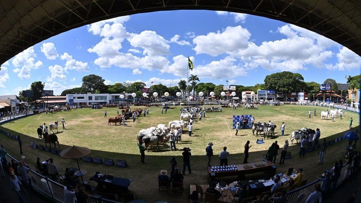 Este ano, a 90ª ExpoZebu está programada para acontecer no período de 26 de abril a 4 de maio, no Parque Fernando Costa (Foto/Reprodução)