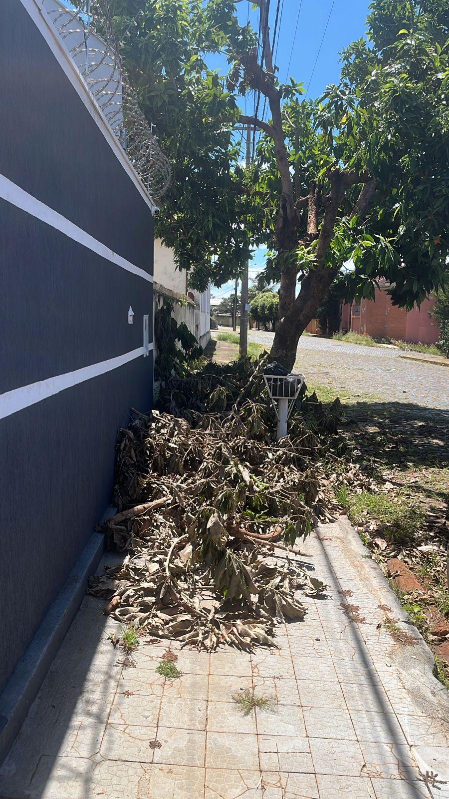 O morador explica que no local residem muitos idosos e o problema os impossibilita de usar a calçada (Foto/Divulgação)