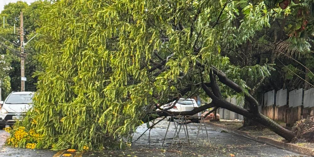 InMet emite alerta de tempestade para Uberaba nesta quinta-feira; veja previsão
