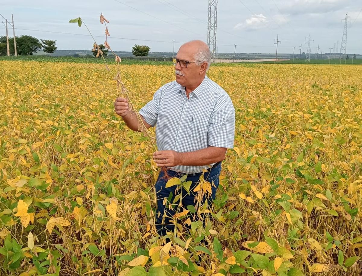 Secretário municipal do Agronegócio, Agnaldo Silva, espera produção superior a 330 mil toneladas de soja este ano em Uberaba (Foto/Divulgação)