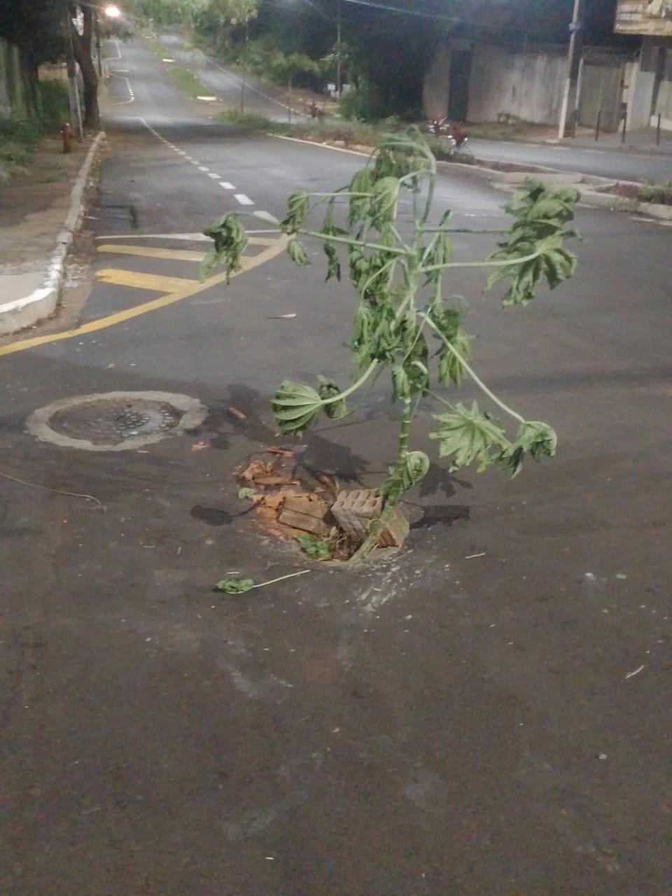 “O afundamento aqui está crítico e o pessoal já está improvisando tampões na via para evitar acidentes", conta o denunciante (Foto/Divulgação)