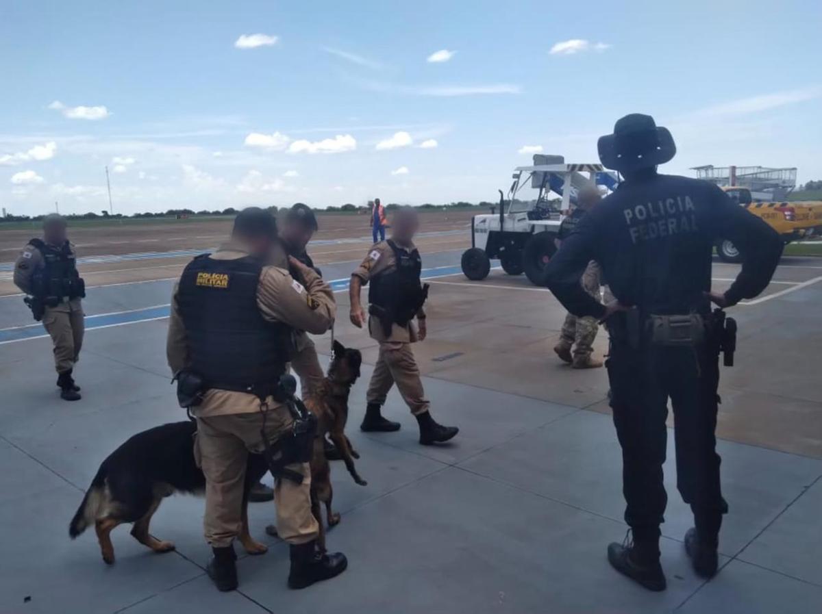 A operação, intensificada no período pré-Carnaval, conta com o apoio da Polícia Militar e da Polícia Penal, além da atuação de cães farejadores. (Foto/Divulgação)