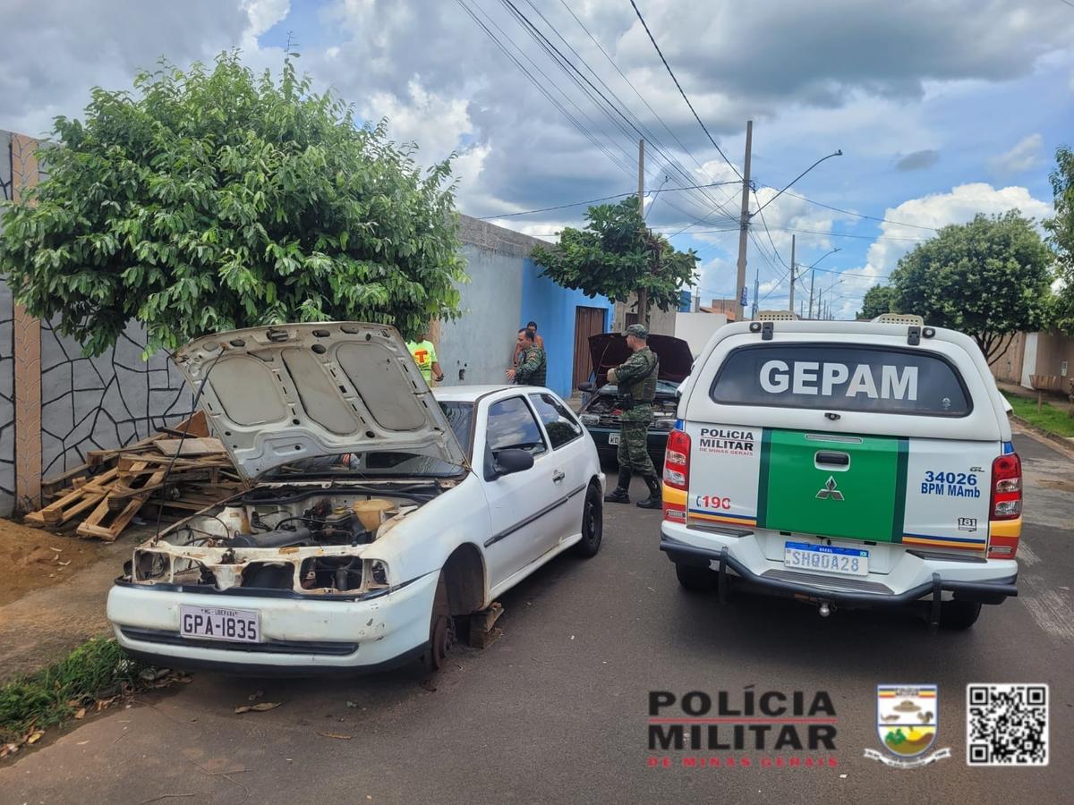 (Foto/Divulgação)