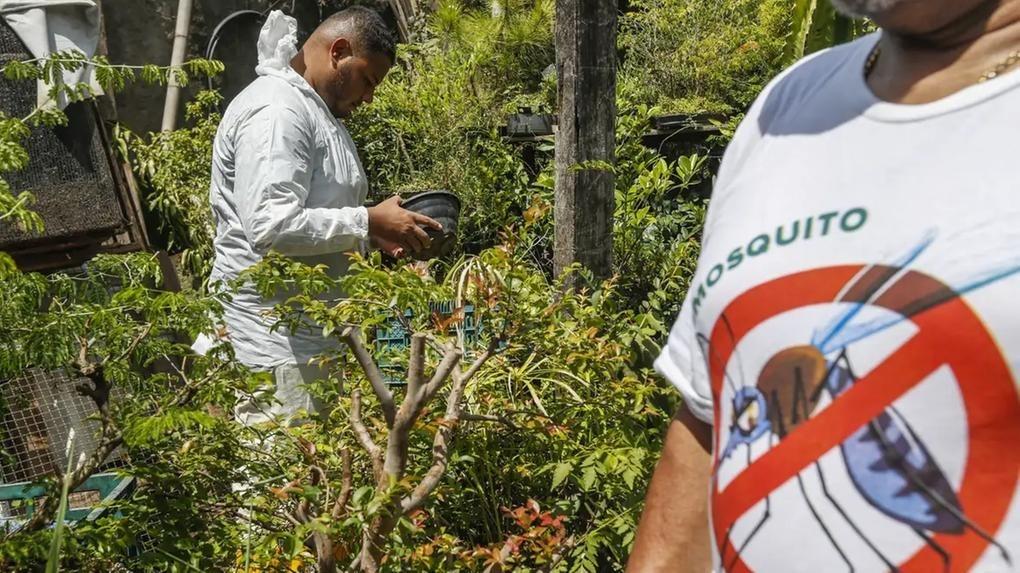 Uma das principais formas de se evitar a dengue é combatendo o mosquito transmissor, com a eliminação de locais que acumulam água (Foto/Reprodução)