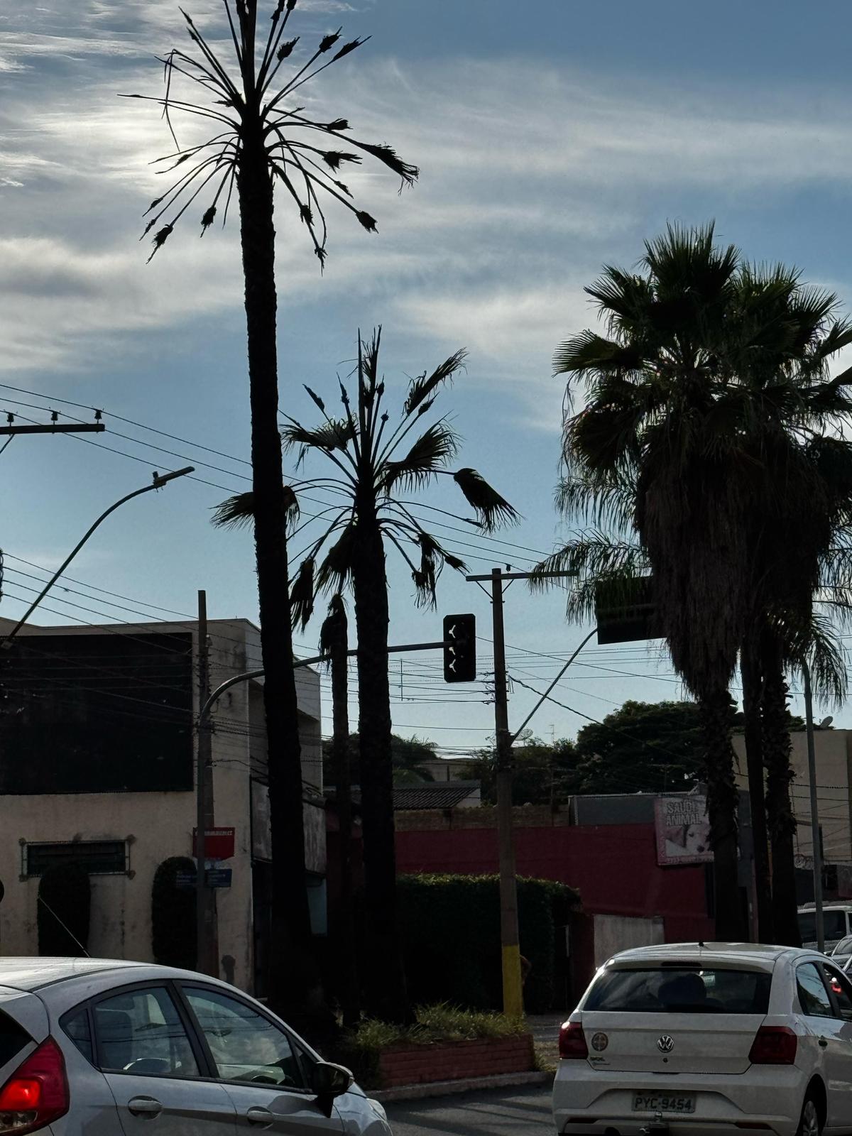 Na manhã desta quarta-feira (12), a Superintendência de Defesa Social informou que todas as medidas necessárias estão sendo tomadas para investigar o caso (Foto/Divulgação)