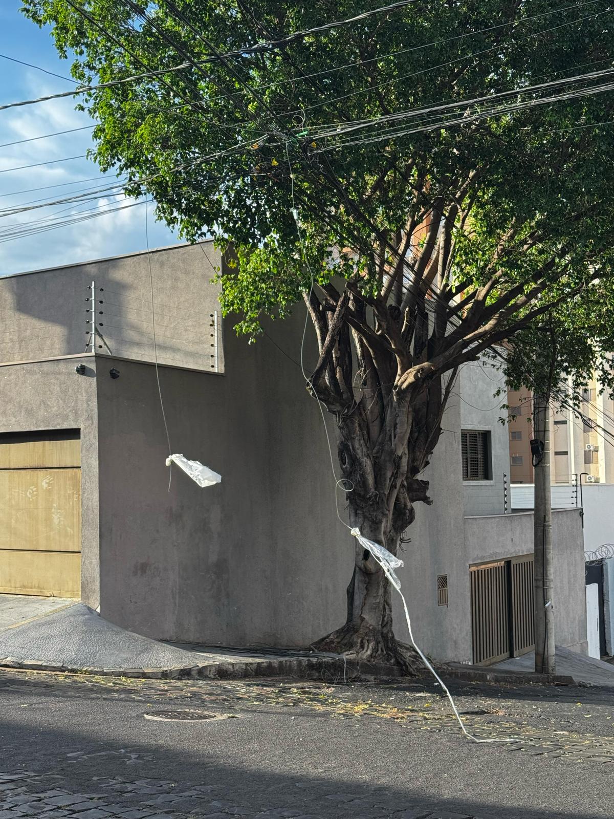 A população colocou sacolinhas para tentar sinalizar os cabos soltos na rua (Foto/Divulgação)