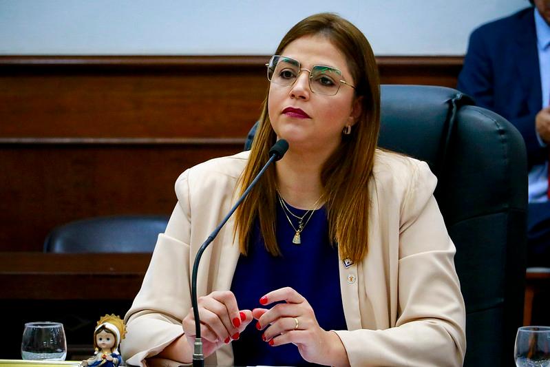 A parlamentar ainda reforça a importância de a população acompanhar a tramitação de propostas que impactam diretamente o cotidiano dos brasileiros (Foto/Divulgação)