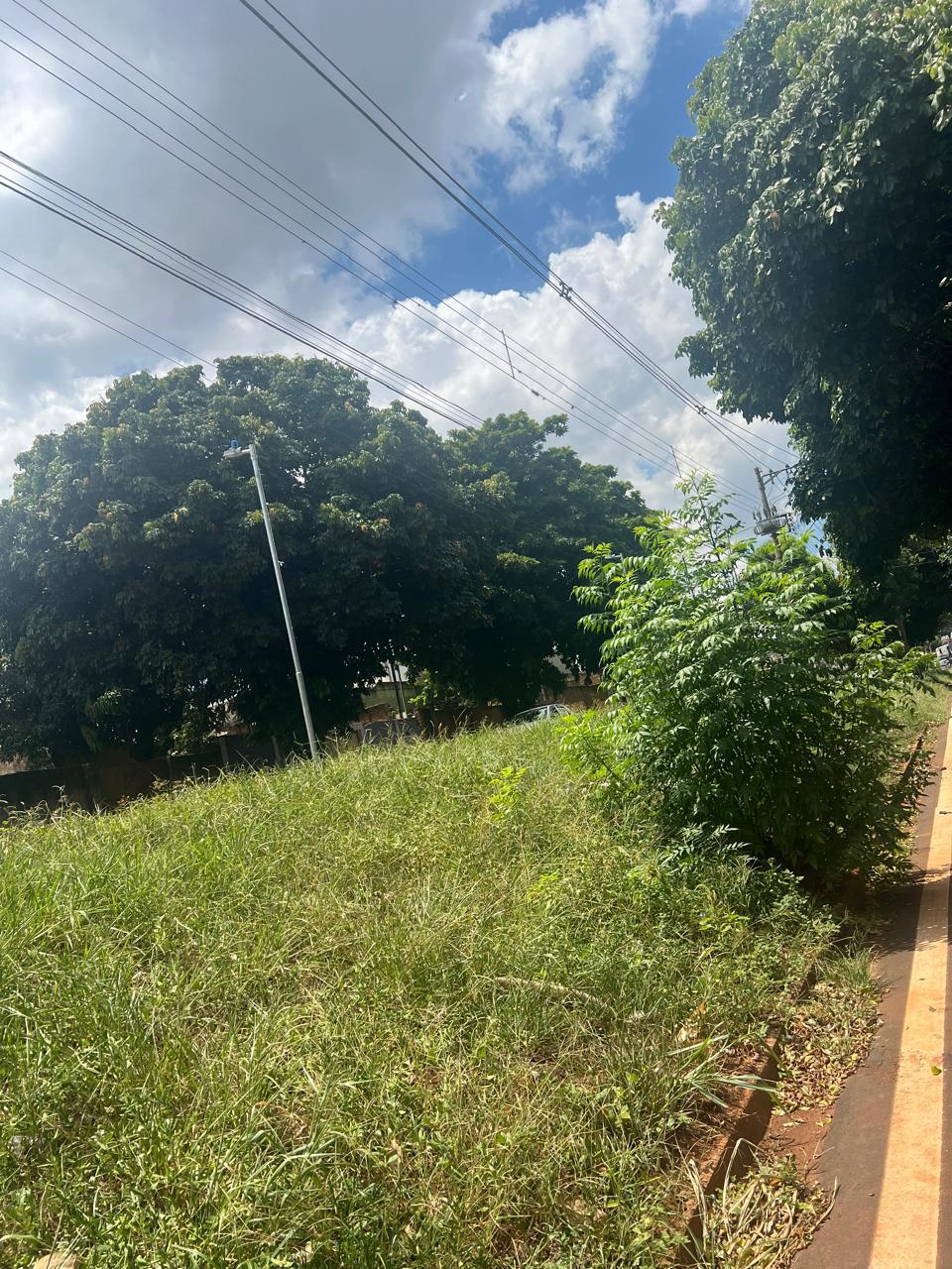 Segundo a Codau, a avenida Cristo Rei está incluída no cronograma de limpeza urbana, desta semana (Foto/Divulgação)