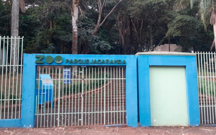 A revitalização do local integra o programa Desenvolve Uberaba e prevê a transformação da antiga área do bosque em um parque voltado ao lazer, contemplação e preservação ambiental (Foto/Arquivo JM)