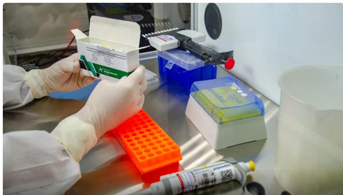De 2020, início da pandemia, até agora, foram diagnosticados 131.597 casos de Covid-19 em Uberaba e 1.709 óbitos  (Foto/Reprodução)