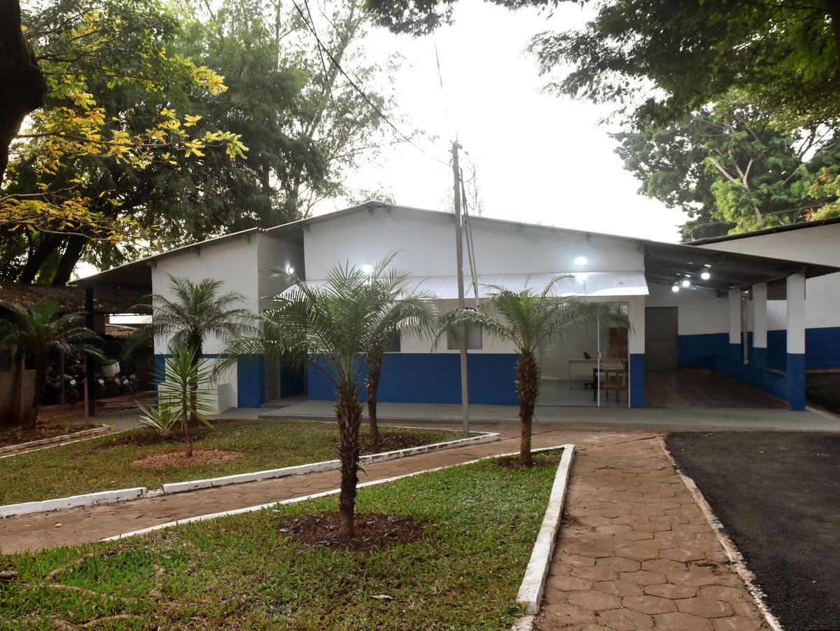 Entre as espécies mais procuradas e doadas estão Ipês, Oiti, Jacarandá Mimoso, Ipê Cascudinho, Hibisco e Flamboyant (Foto: Divulgação PMU)