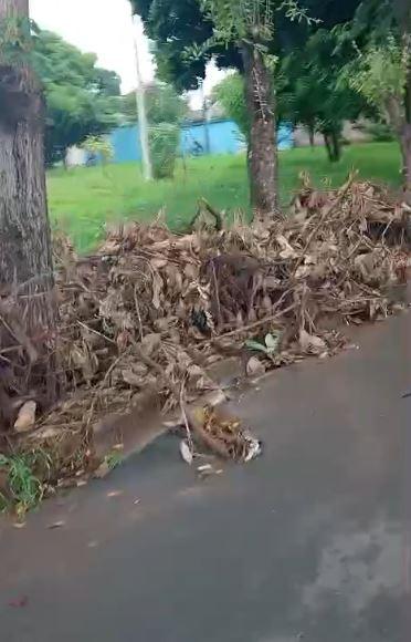 Segundo a denunciante, os resíduos permanecem no local a cerca de 30 dias sem que nenhuma providência seja tomada (Foto/Reprodução)
