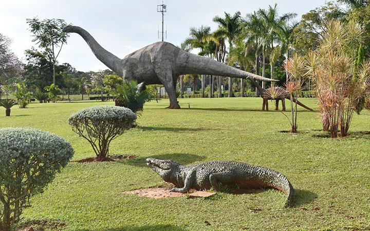  (FotoDivulgação)
