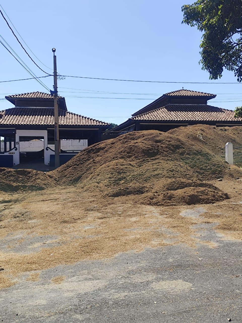 "O mau cheiro está tomando conta ao redor do Parque de Exposição. Nós que moramos perto já estamos sofrendo com o mau cheiro e principalmente com as moscas", conta denunciante (Foto/Divulgação)