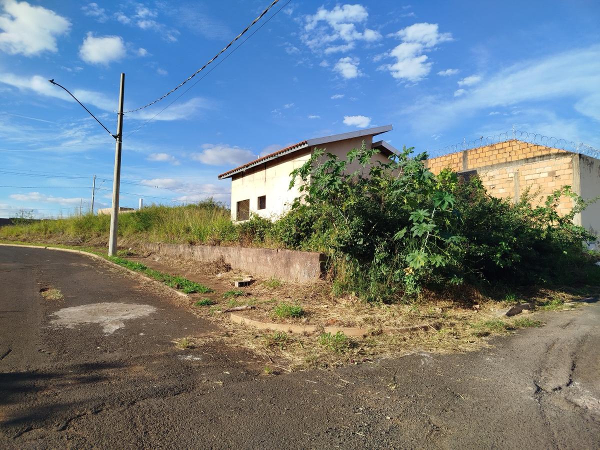 Casas abandonadas, mato alto e insegurança são relatados por moradores do bairro Zeca Mendes  (Foto/Divulgação leitor)