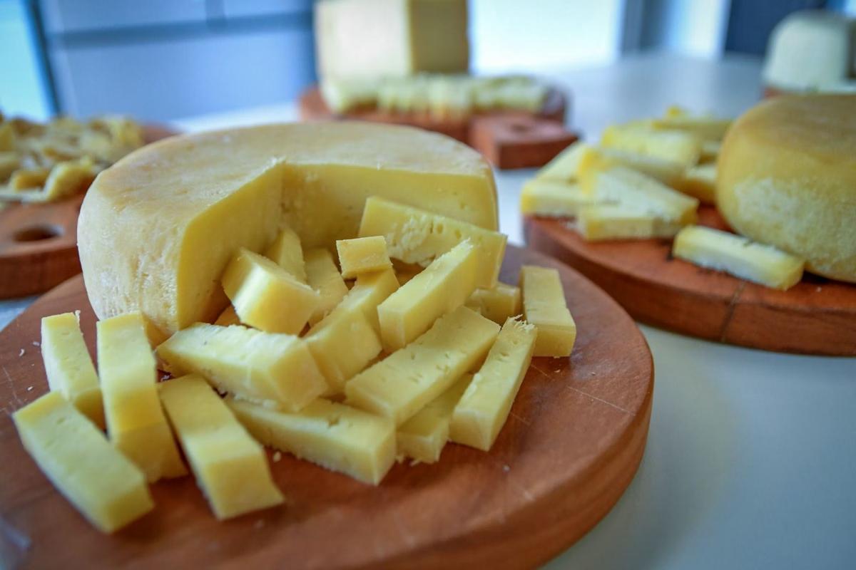 Os modos de fazer do Queijo Minas Artesanal ganhou título de Patrimônio Cultural e Imaterial da Uneaco em dezembro do ano passado. (Foto/FQAM/Divulgação)