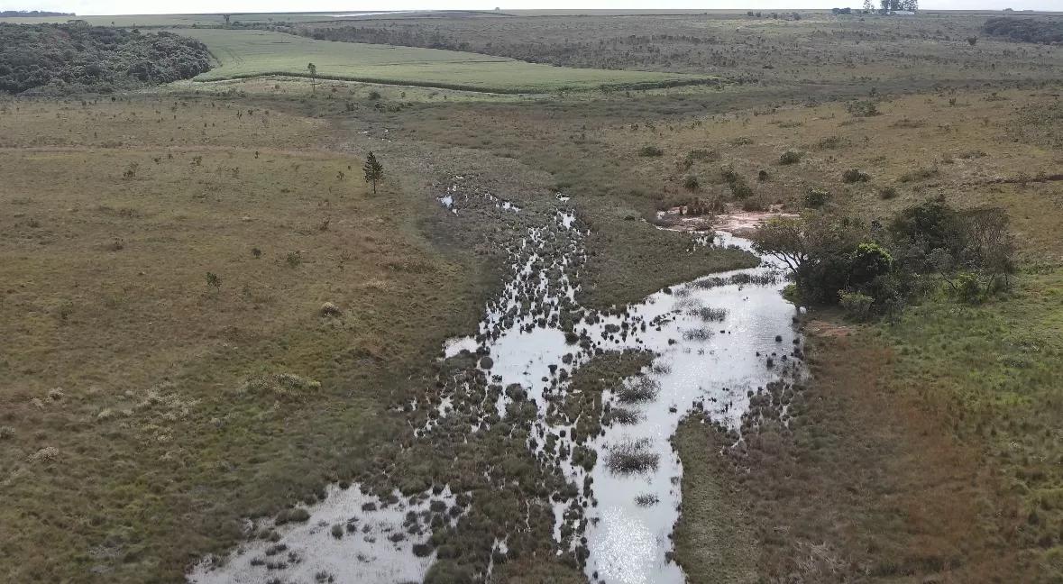 Operação Reserva Legal, realizada entre 12 e 16 de maio nos municípios de Uberlândia e Uberaba, no Triângulo Mineiro (Foto: Divulgação Ibama)