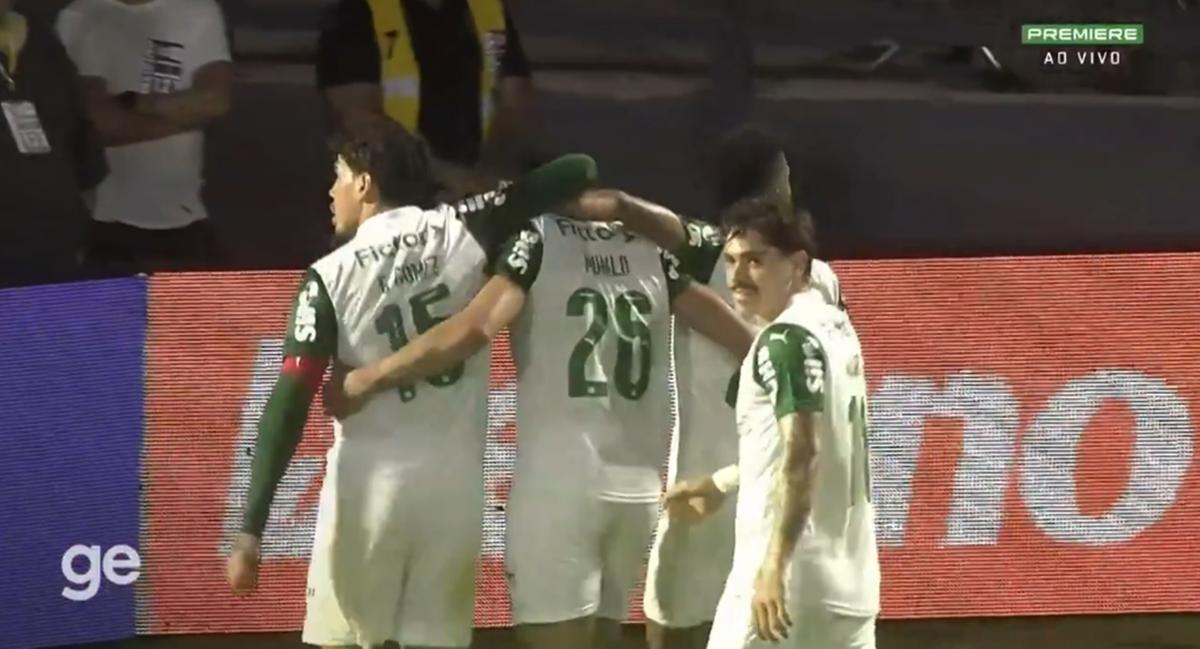 Palmeiras abre 4 pontos sobre o Flamengo e mostra que é hoje o melhor time do Brasil (Foto/Reprodução)